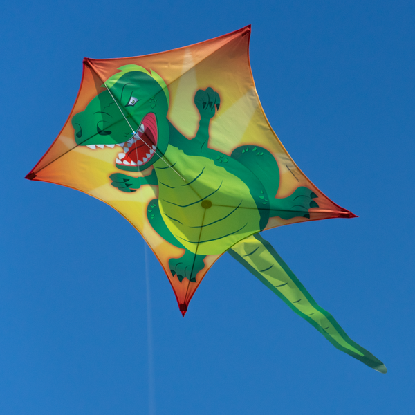 T-Rex Pentagondrake / drake / kite / drache