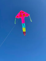 Rosa-(bad)anka-deltadrake med svans i flera glada färger - Exklusiv Drake från www.Drake.nu