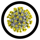 Corona virus / Covid 19 / SARS COV2 (mjukisdjur flera storlekar i diameter ) -  GiantMicrobes från USA