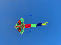 Grön-örn-deltadrake med svans i flera glada färger - Exklusiv Drake från www.Drake.nu