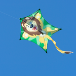 Lejon Pentagondrake / drake / kite / drache