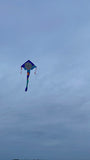 Haj / Shark Drake - Large EASY FLYER by Premier Kite USA