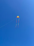 SpiderKites Concorde extra stor kvslitetsdrake