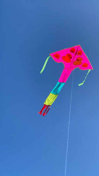 Rosa-(bad)anka-deltadrake med svans i flera glada färger - Exklusiv Drake från www.Drake.nu