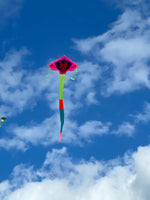Drakhuvud Rosa deltadrake med svans i flera glada färger - Exklusiv Drake från www.Drake.nu