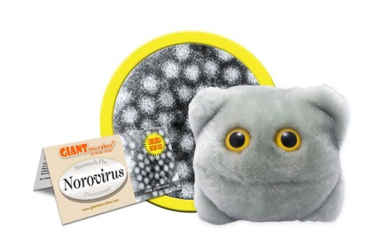 Norovirus /- Stomach Flu (mjukisdjur flera storlekar i diameter ) -  GiantMicrobes från USA - flera storlekar