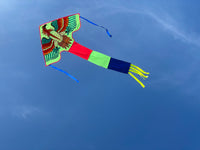 Grön-örn-deltadrake med svans i flera glada färger - Exklusiv Drake från www.Drake.nu