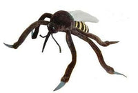 Lutti - Cimex lectularius - Lutti